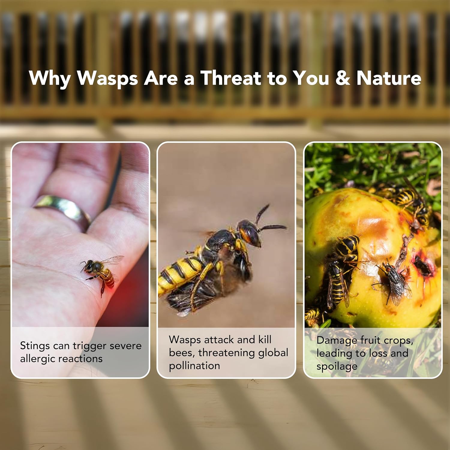 Infographic on why wasps are a threat to humans and nature, with images of a stung hand, a wasp, and wasps on fruit.