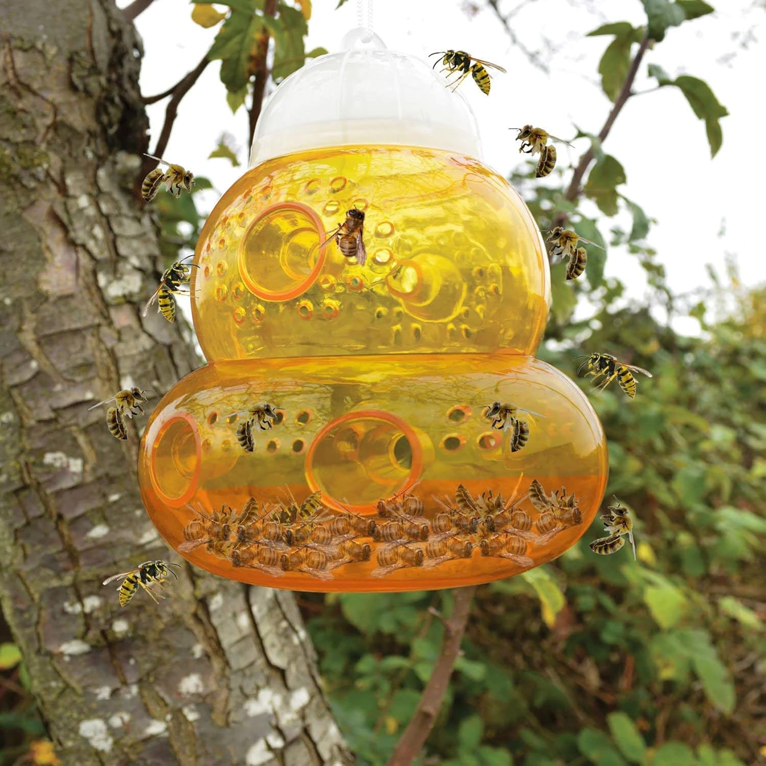 Aspectek Wasp Trap 2-pack - Traps Wasps, Hornets, and Bees