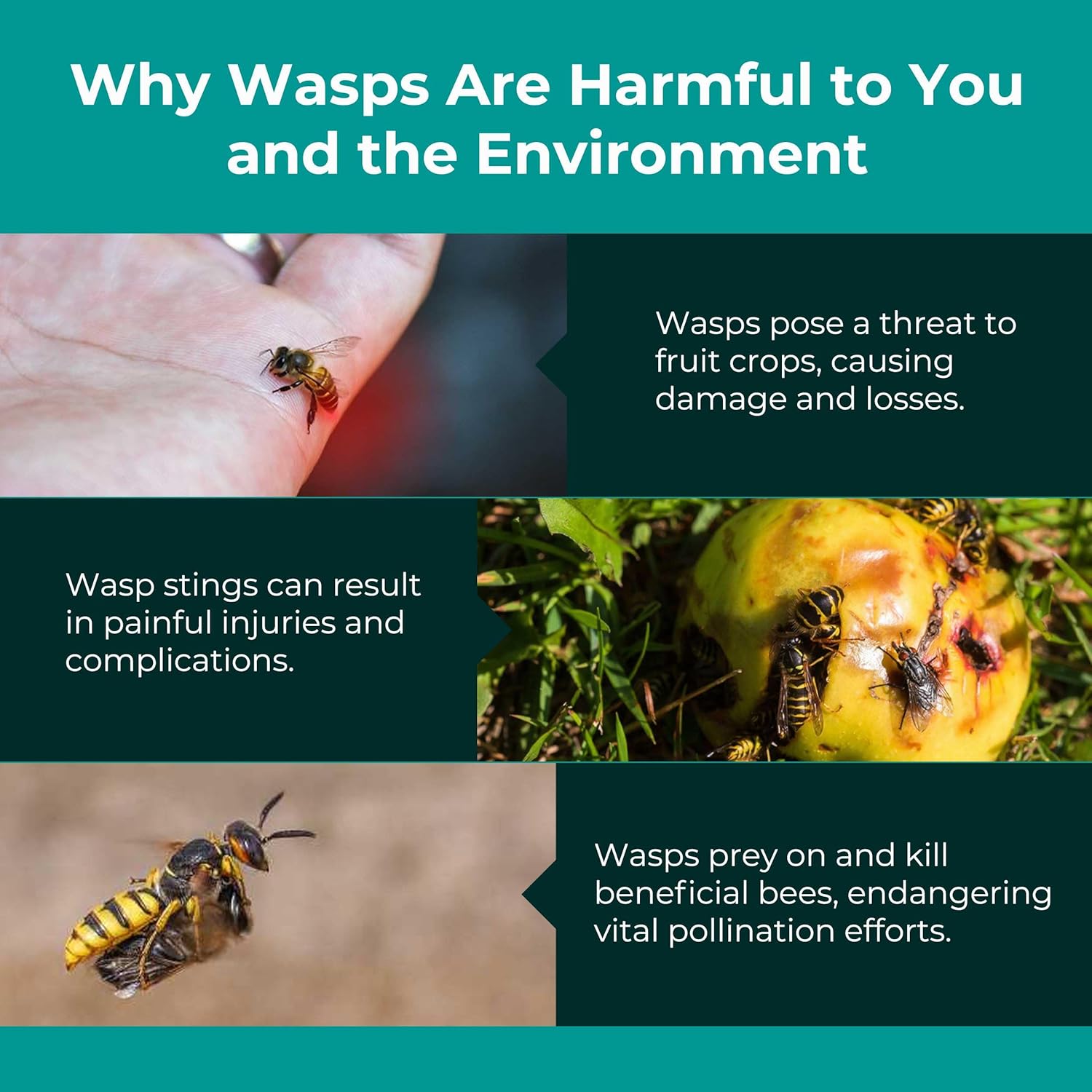 Aspectek Wasp Trap 2-pack - Traps Wasps, Hornets, and Bees