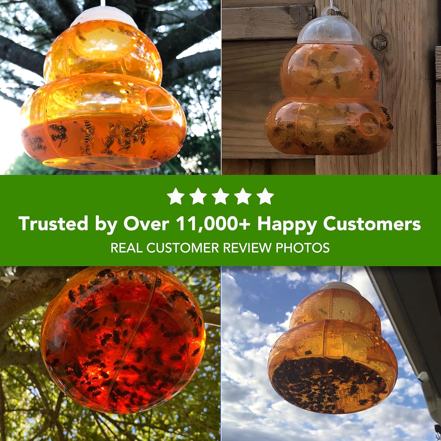 Hanging orange bird feeder with visible birds, surrounded by text about customer trust.