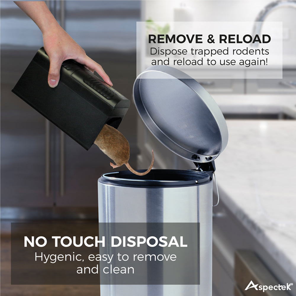 Electronic Rat Killer