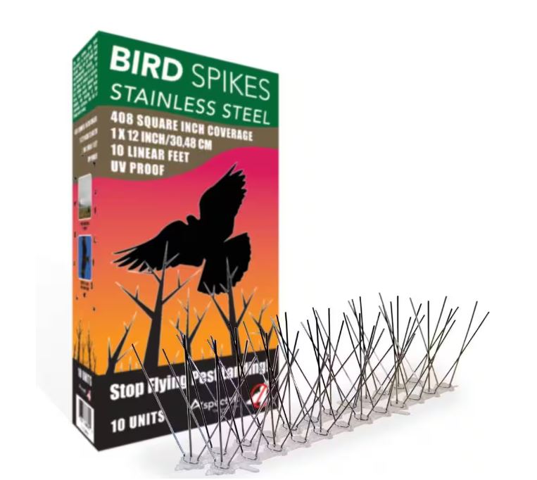 Durable bird spike deterrent to prevent birds from landing on ledges, roofs, and fences