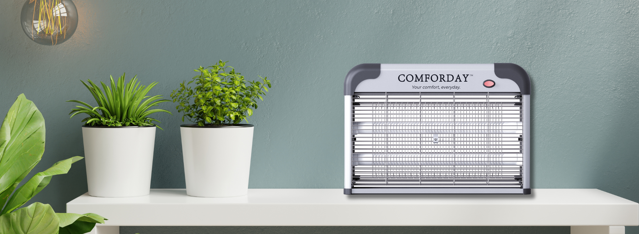 Comforday_Banner.png