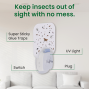 Super Sticky Glue Traps with UV Light, Switch, and Plug on a neutral background