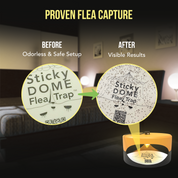 Aspectek  Trapest Sticky Dome Bug Trap with 2 Glue Discs. Odorless Cleaner and Flea Killer Trap Pad