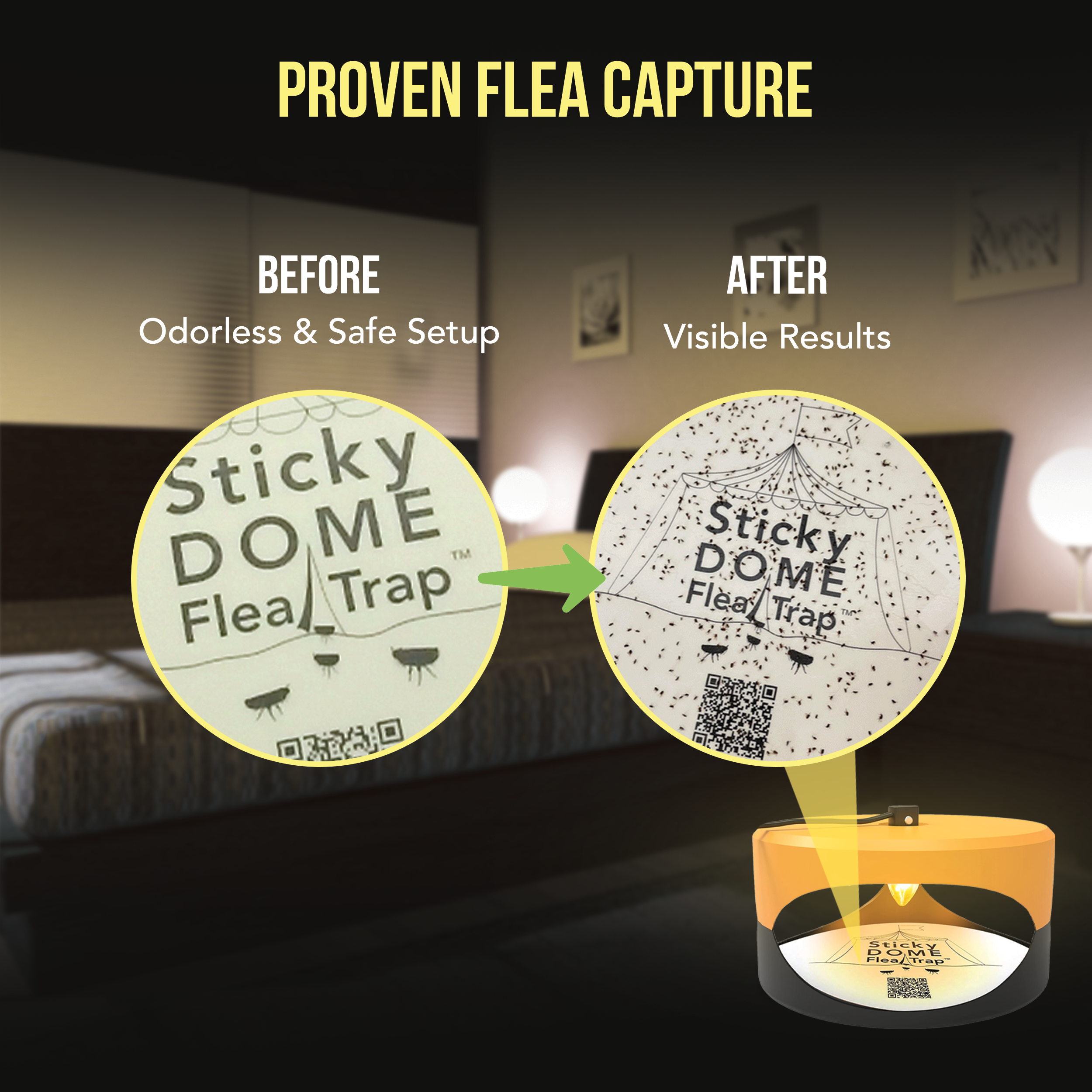 Aspectek  Trapest Sticky Dome Bug Trap with 2 Glue Discs. Odorless Cleaner and Flea Killer Trap Pad
