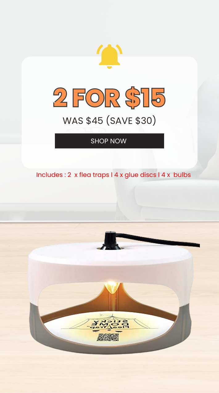 May_Sticky_Dome_Mobile_1.png