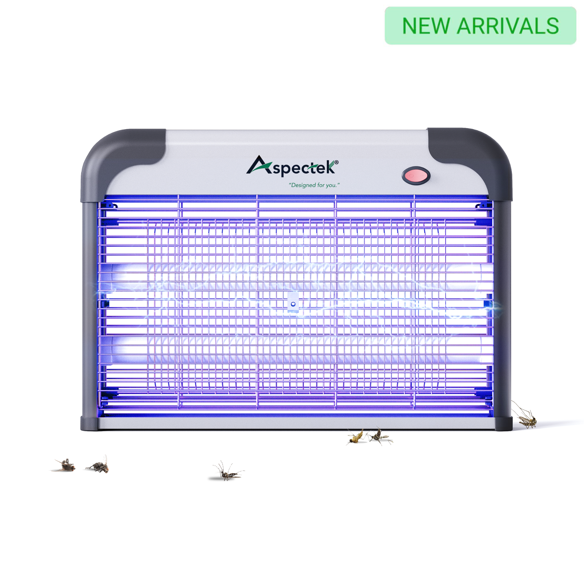 NewArrival_1.png