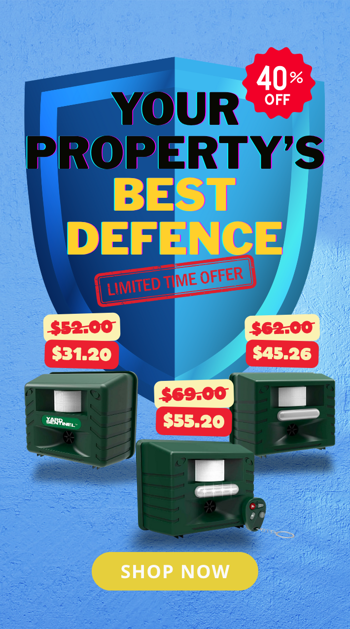 Shopify_Banner_Mobile_2025-07_2_1.png