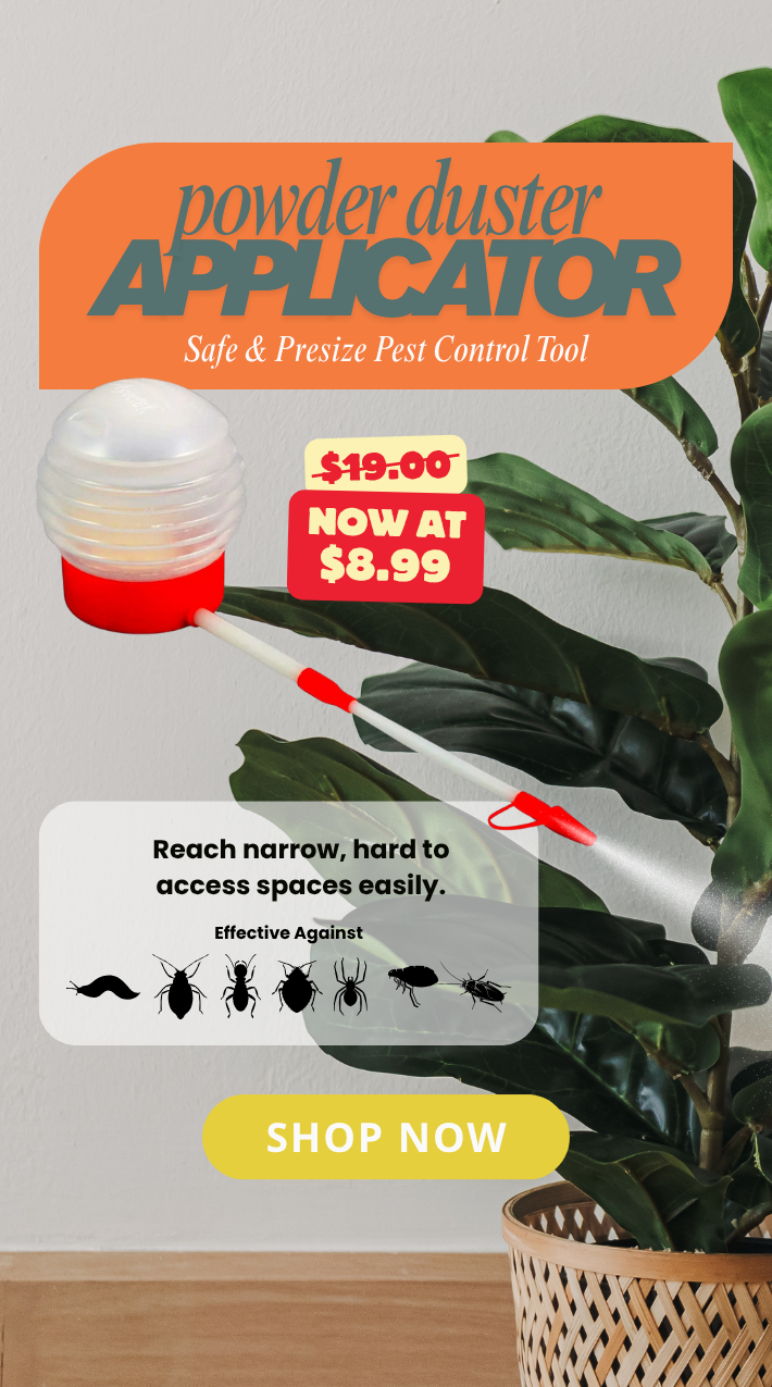Shopify_Banner_Mobile_2025-07_3.png
