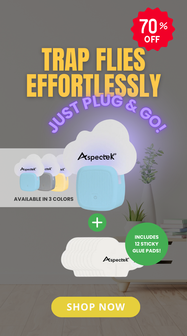 Shopify_Mobile_2025-08_1.png