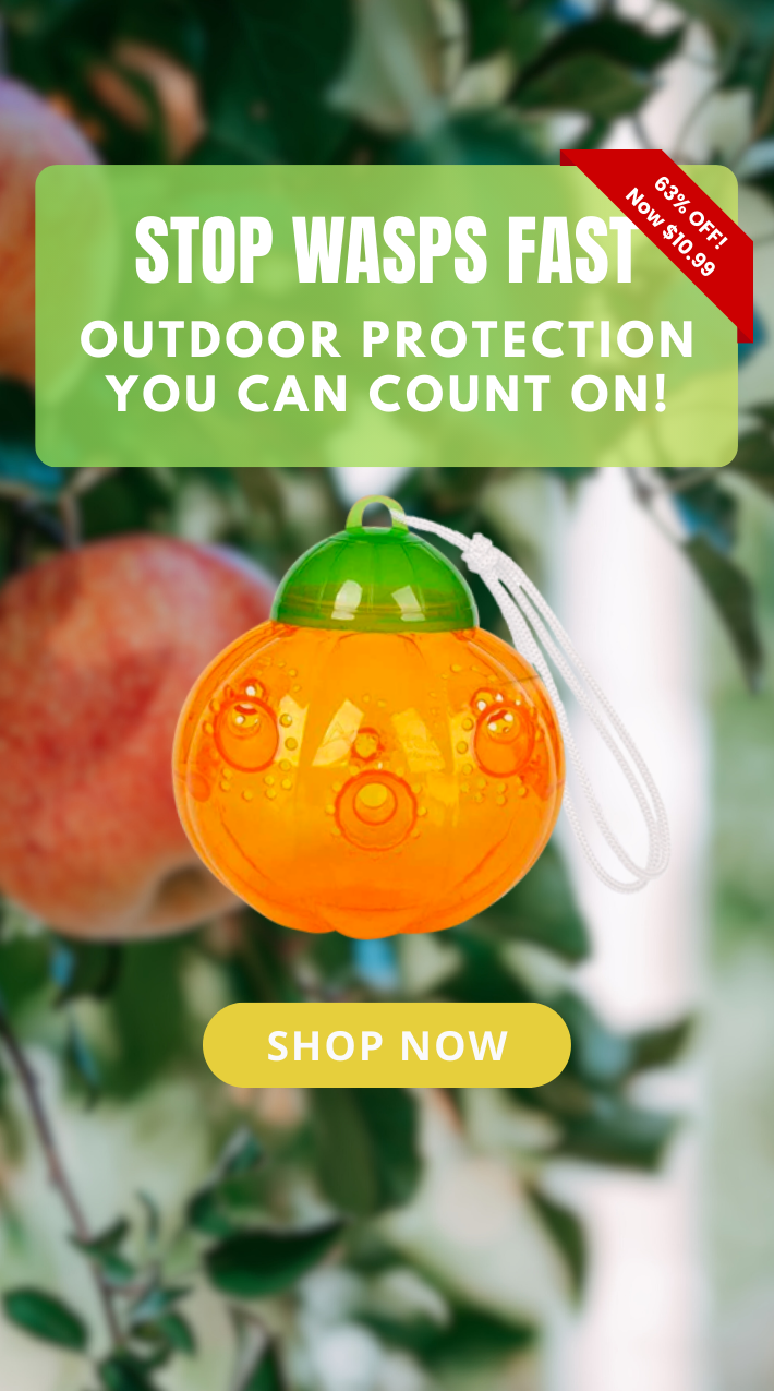 Shopify_Mobile_2025-08_3_1.png