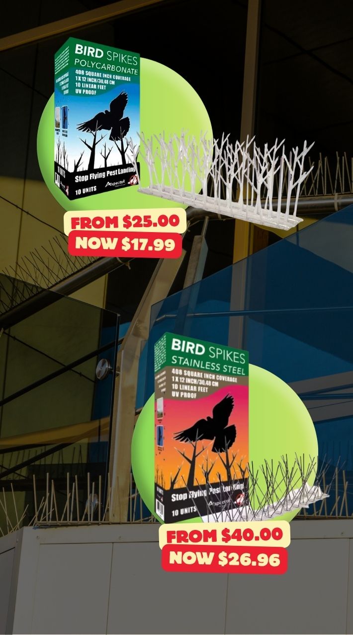 Shopify_Mobile_2025-09_6.jpg