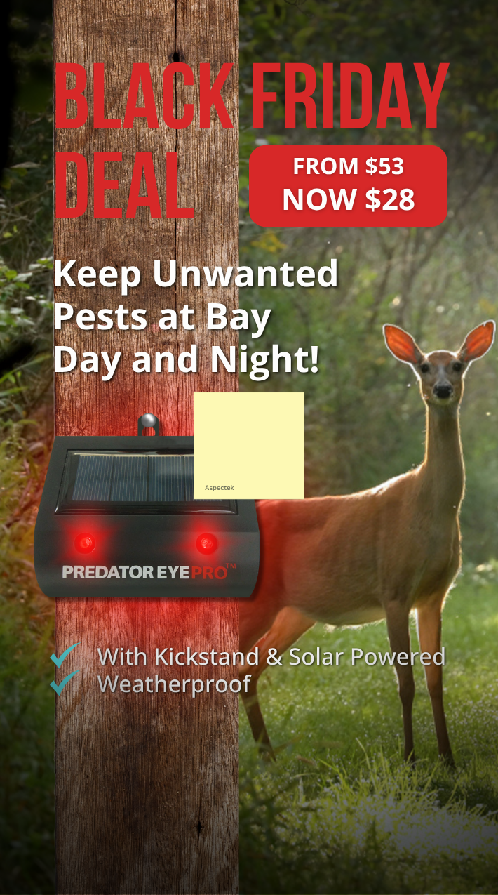 black_friday_predator-eye-pro_mobile.png