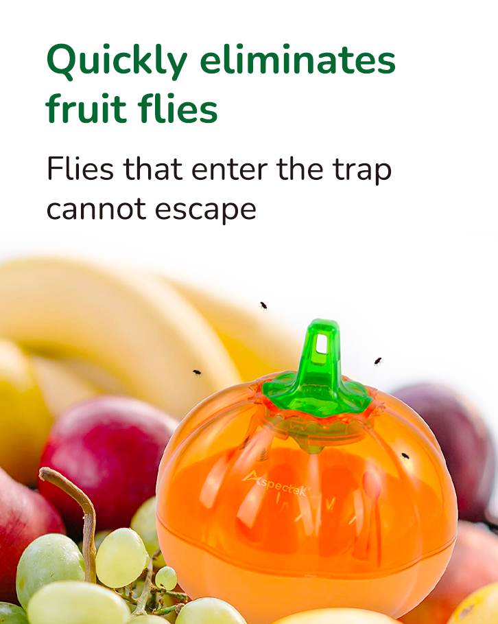  Fruit Fly Trap (Pumpkin Shape)