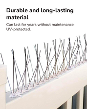 Durable bird spike deterrent to prevent birds from landing on ledges, roofs, and fences