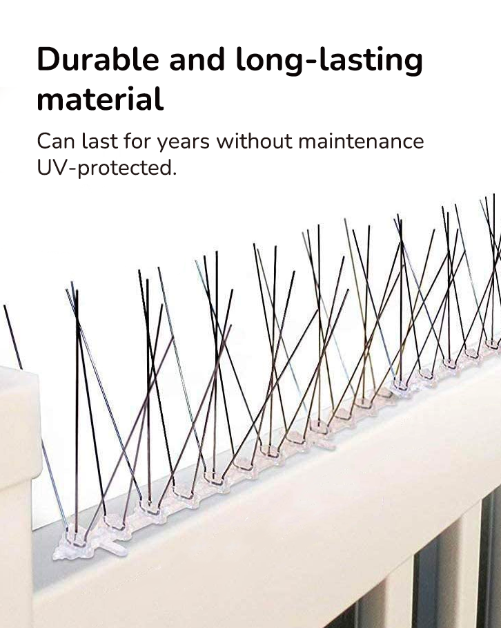 Durable bird spike deterrent to prevent birds from landing on ledges, roofs, and fences