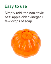  Fruit Fly Trap (Pumpkin Shape)