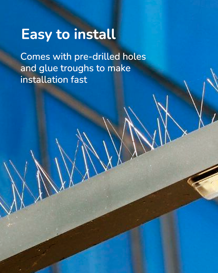 Durable bird spike deterrent to prevent birds from landing on ledges, roofs, and fences