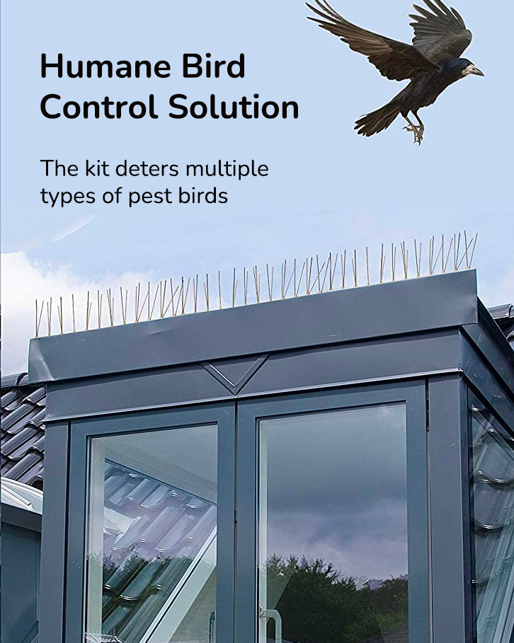 Durable bird spike deterrent to prevent birds from landing on ledges, roofs, and fences
