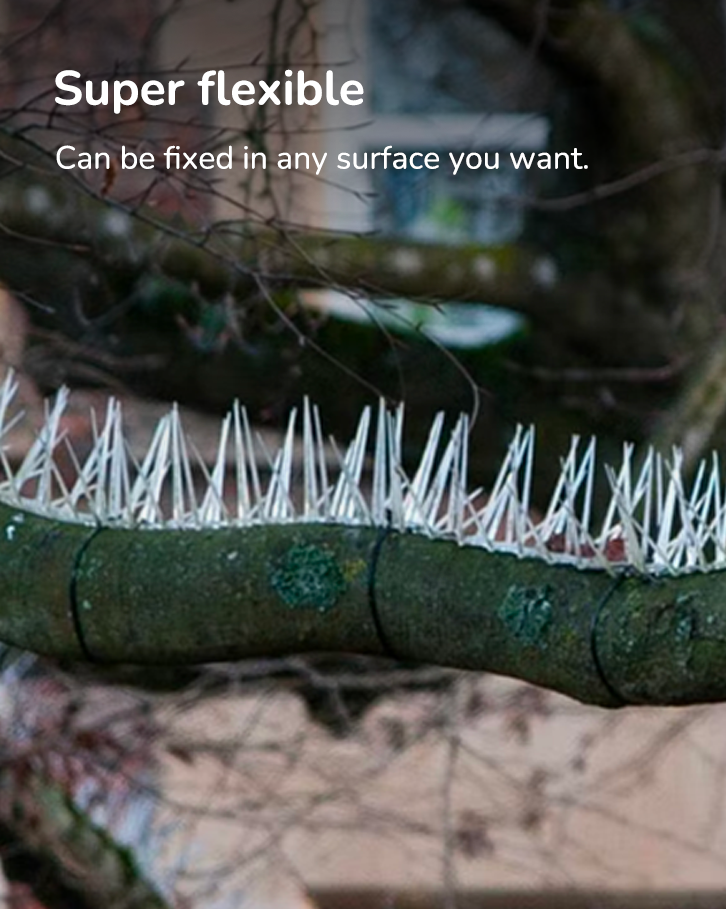 Durable bird spike deterrent to prevent birds from landing on ledges, roofs, and fences