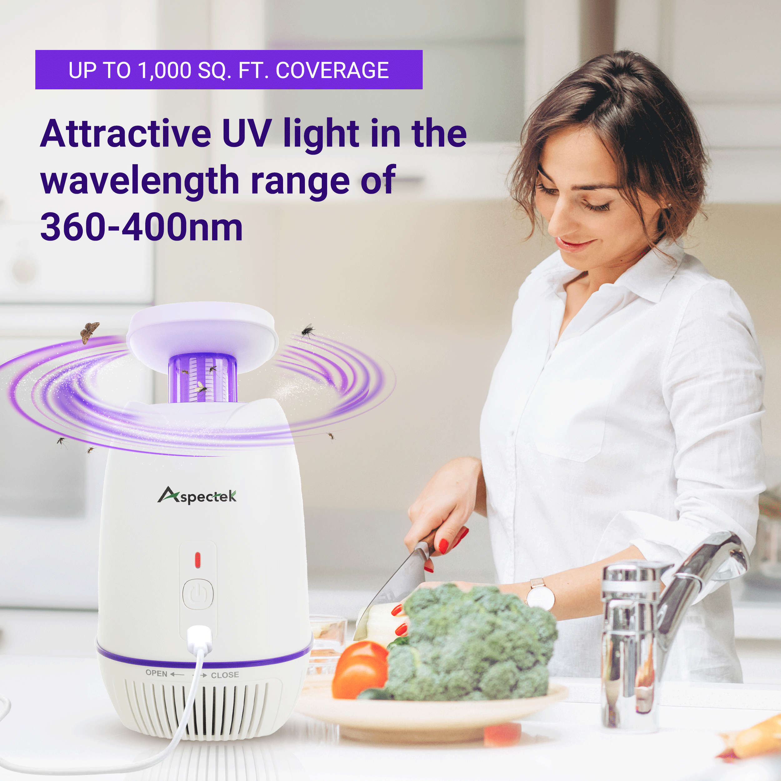 Indoor Bug Zapper: 4 in 1 Insect Fly Zapper featuring UV Light attraction