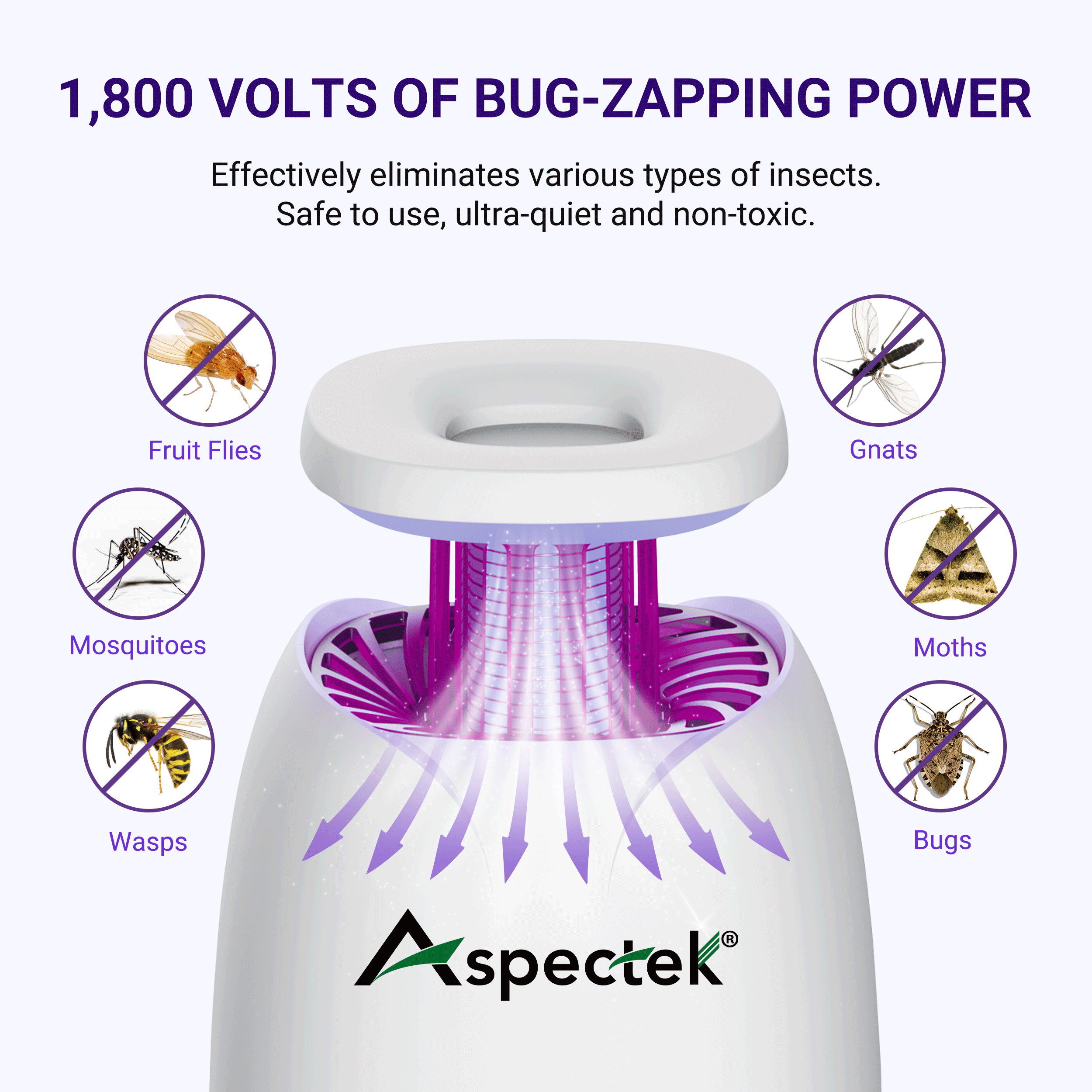 Indoor Bug Zapper: 4 in 1 Insect Fly Zapper featuring UV Light attraction