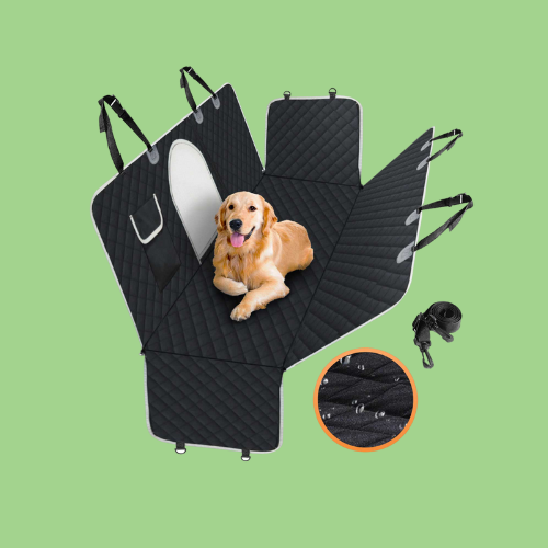 collection_holiday-6_1.png