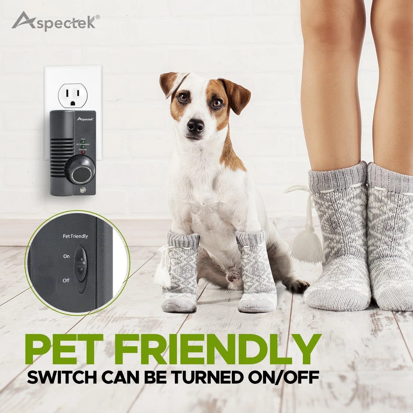 Dog wearing socks with a pet-friendly switch and Aspectek logo in the background