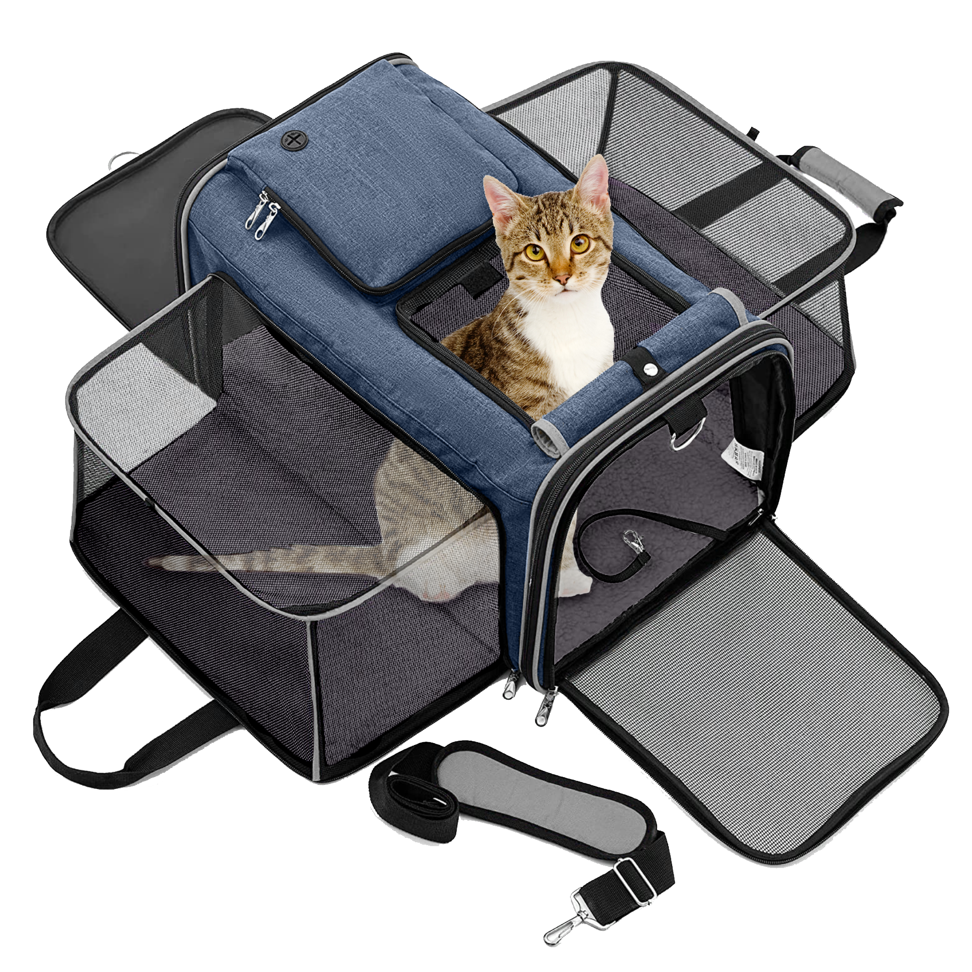 pet-carrier-blue-listing-1.png