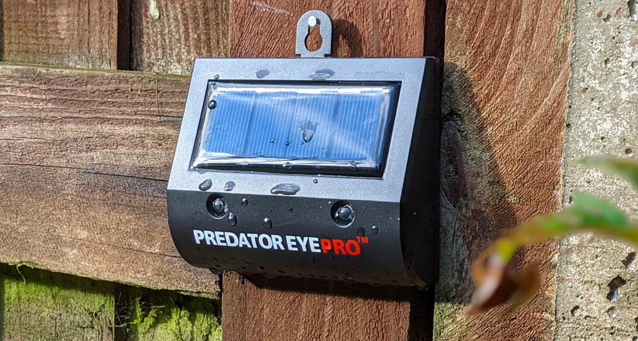 predator-eye-pro.png