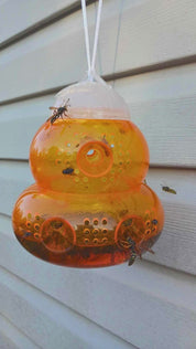 Aspectek Wasp Trap 2-pack - Traps Wasps, Hornets, and Bees