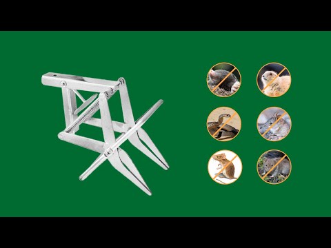  Mole Trap - Effective and Easy-to-Use Solution