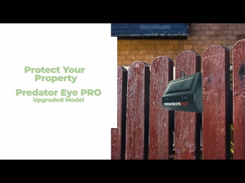 Nighttime guardians: Aspectek Predator Eye PRO
