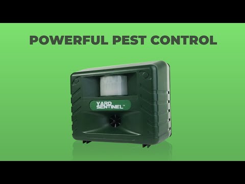Yard Sentinel Outdoor Ultrasonic Animal Repeller, Motion Sensor, Waterproof – Cat Repellent, Skunk Repellent, and Bird Repellent (1-Pack)