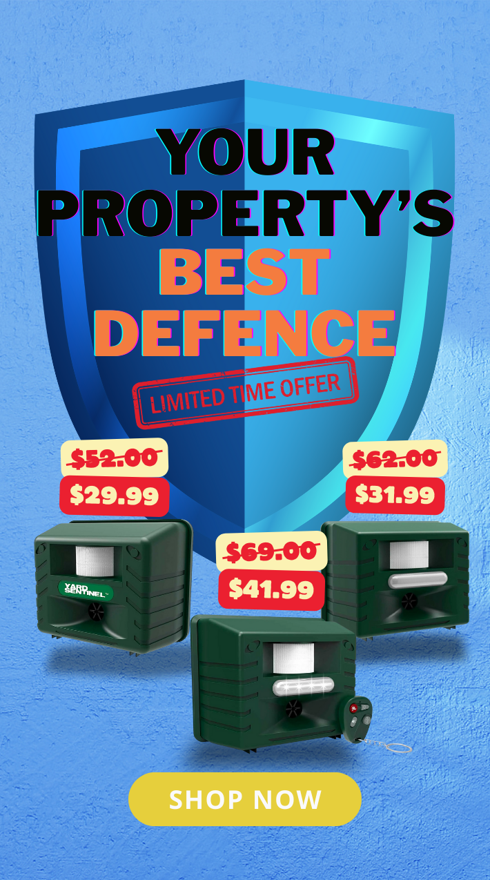 sep_adjusted_promotion_mobile.png