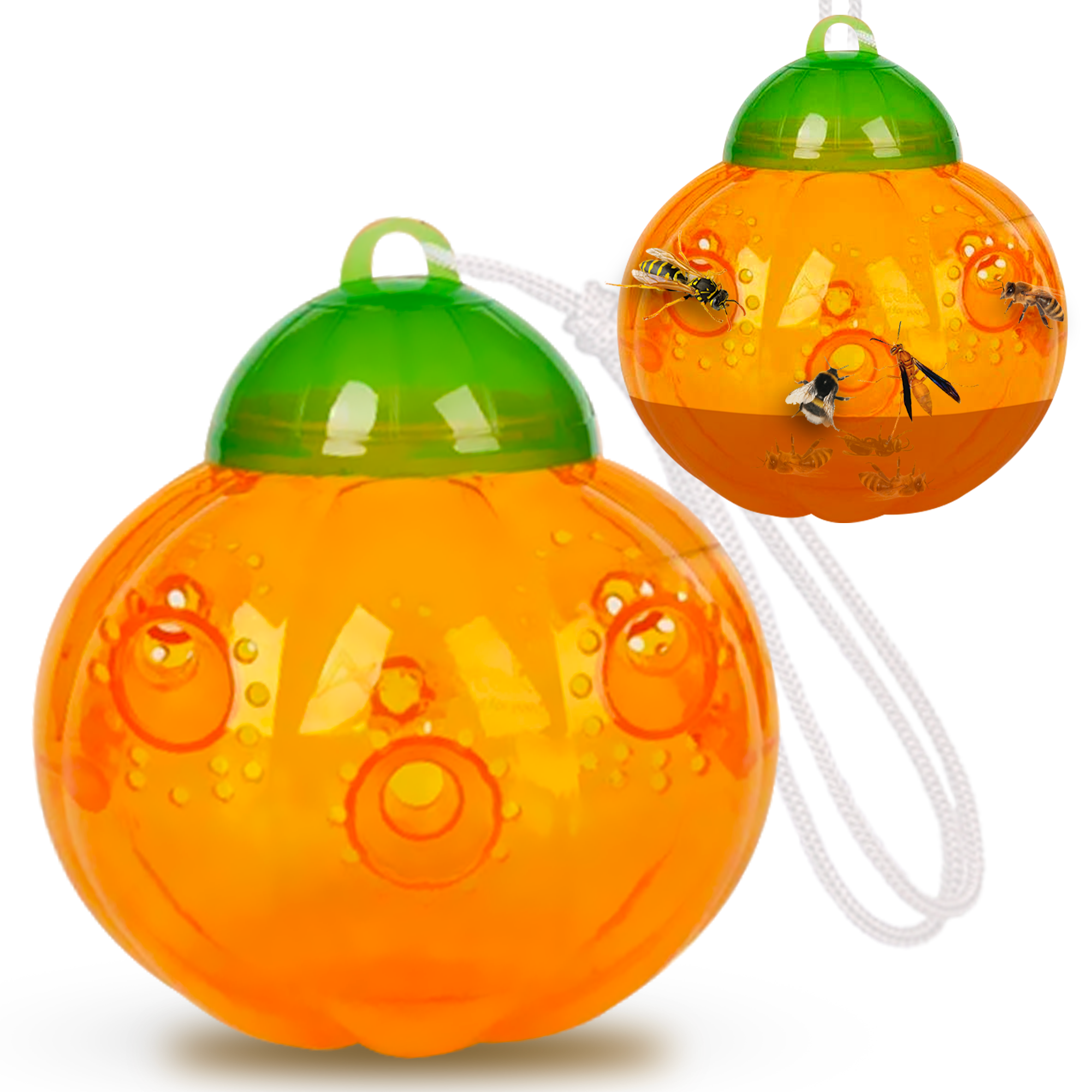 wasp-trap-pumpkin-listing-1_2.png