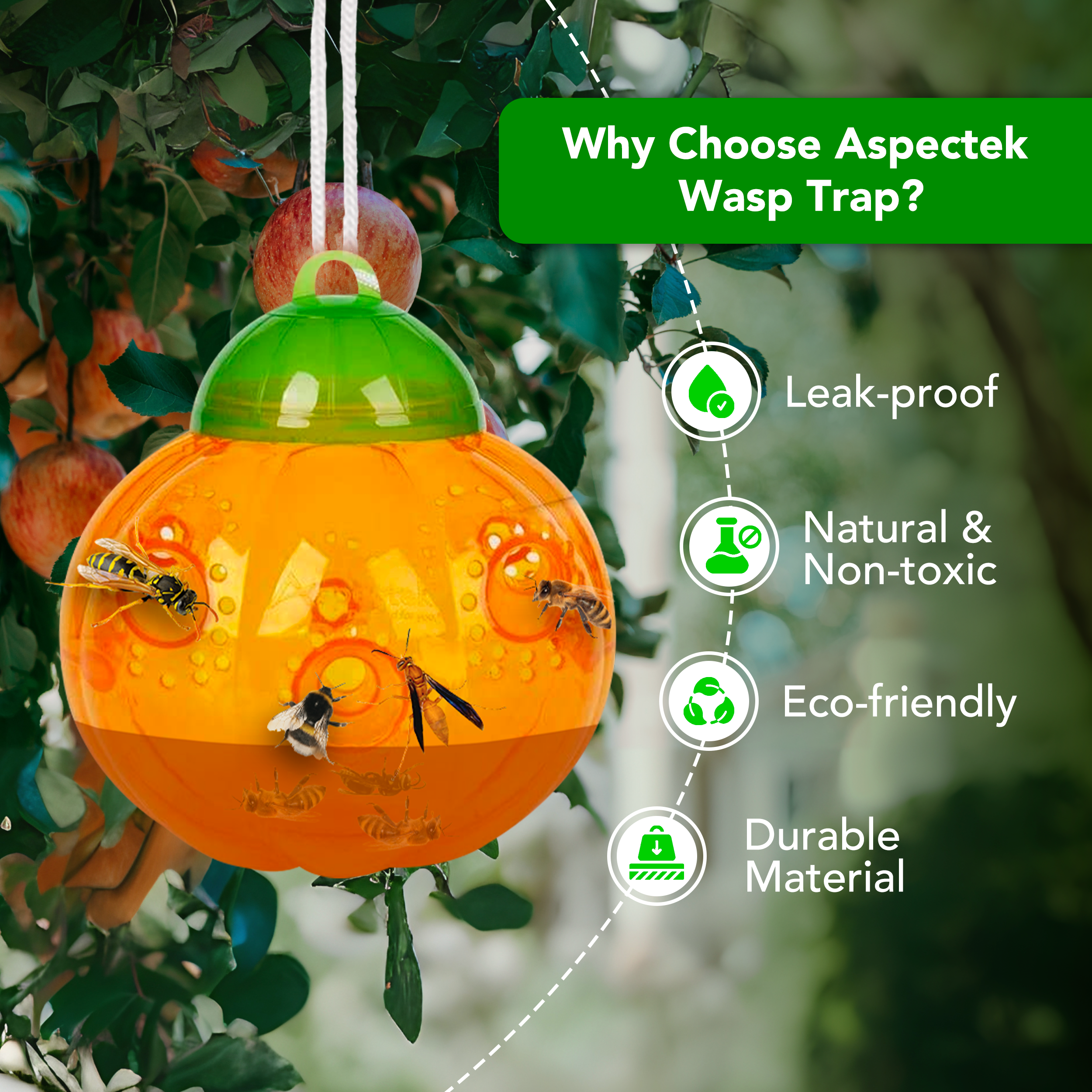 wasp-trap-pumpkin-listing-4.png