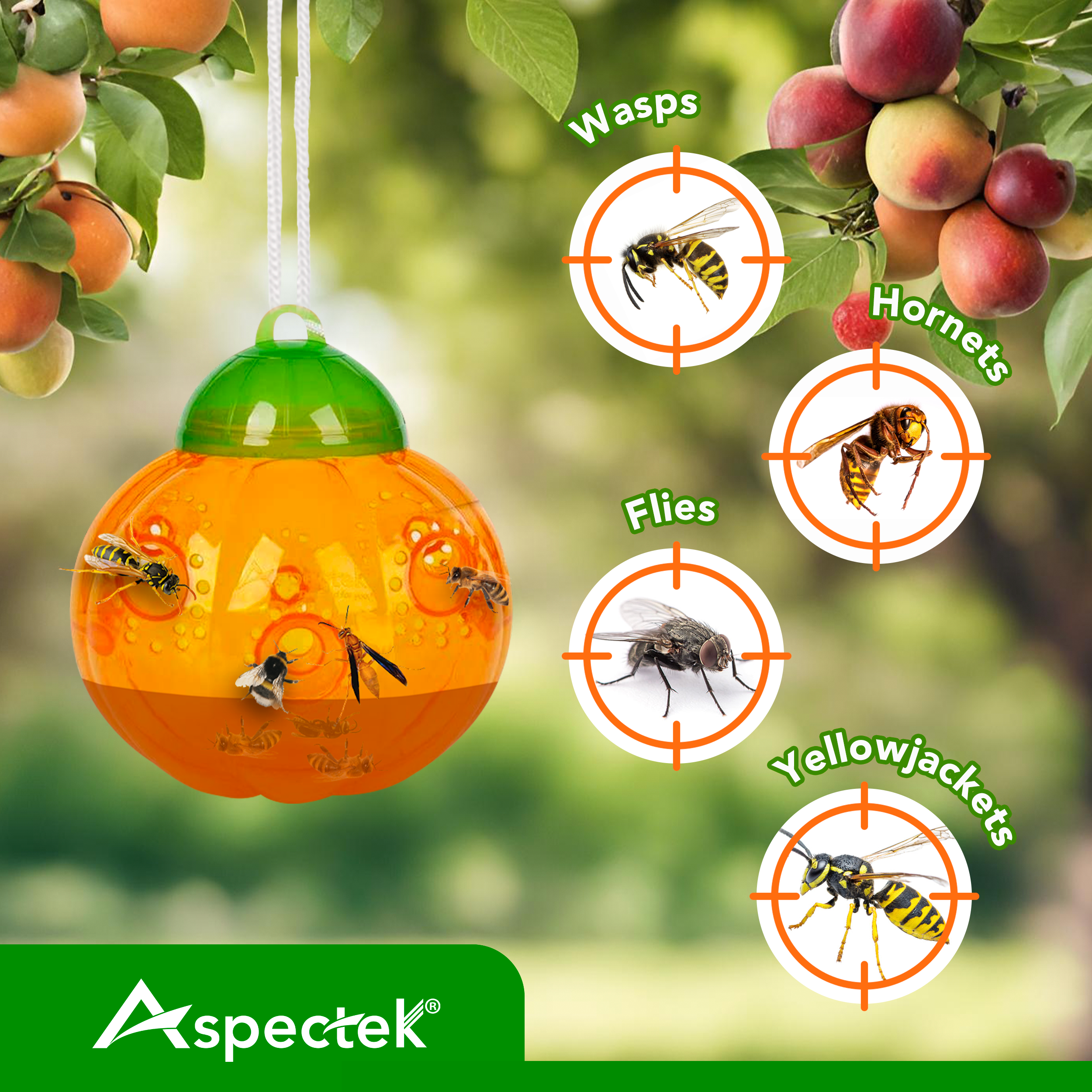 Aspectek Wasp Trap 2-Pack (Pumpkin Shape) Traps Wasps, Bee Traps Hornets, and Bees (Wasp Trap)