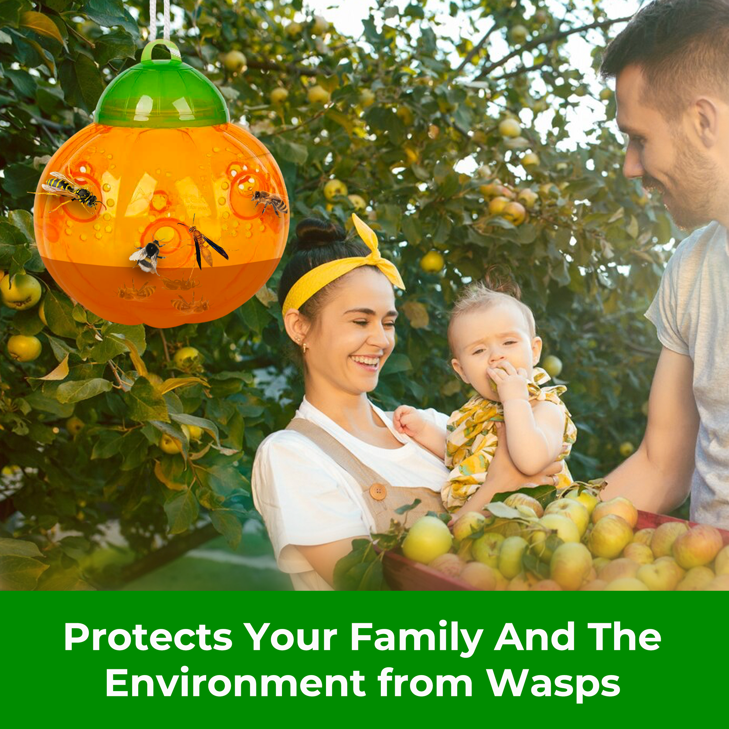 Aspectek Wasp Trap 2-Pack (Pumpkin Shape) Traps Wasps, Bee Traps Hornets, and Bees (Wasp Trap)