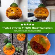 Aspectek Wasp Trap 2-Pack (Pumpkin Shape) Traps Wasps, Bee Traps Hornets, and Bees (Wasp Trap)
