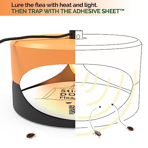 Aspectek Aspectek Sticky Dome Flea Trap with 2 Sticky Discs. Odorless Insect Traps, Effective for Indoor Use - 2 Pack