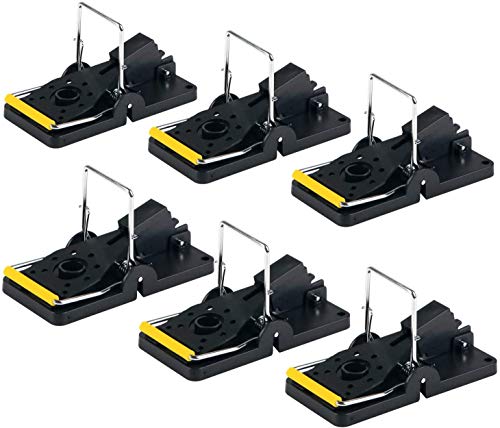 ASPECTEK Large Size Mouse Traps, Rat Traps, Reusable Rodent Solution, Pack of 6