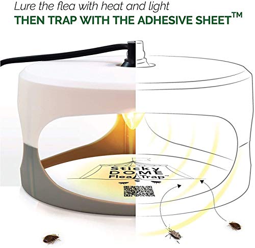 Aspectek Flea Trap Replacements Glue Discs, Sticky Dome Flea Trap Refills, Pack of 6, White