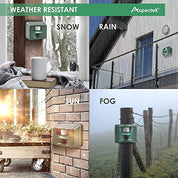 An electronic guardian for your garden: Yard Sentinel
