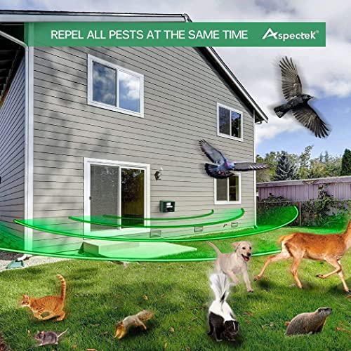 Deter unwanted guests with ease: Yard Sentinel +STROBE & Remote Control Outdoor Ultrasonic Animal Repeller with Motion Sensor