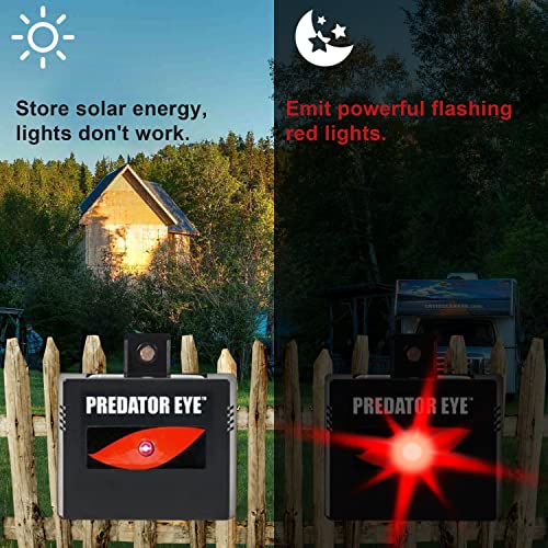 Aspectek Solar Rechargeable Night Time Predator Eye Animal Deterrent Powerful Light to Protect from Coyote, Deer, Cat, Raccoon, Skunk, Weatherproof (2 Packs)