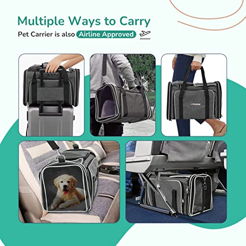PetsN'all Pet Carrier, Cat Carrier, Airline Approved 2 Sides Expandable (Gray)