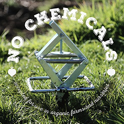  Mole Trap - Effective and Easy-to-Use Solution