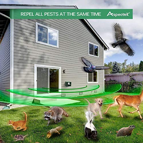 Guard your outdoor space: Yard Sentinel + STROBE LIGHT Outdoor Ultrasonic Animal Repeller